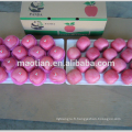 Fuji Apple Factory Chine